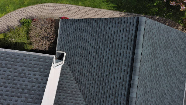 Best Roof Maintenance and Cleaning  in Dana, NC